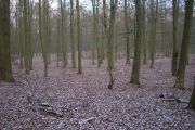 CIMG0434