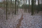 CIMG0435