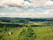 image_006