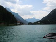 DSCN0882