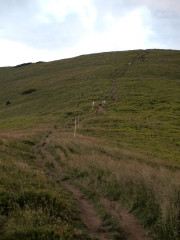 P7141063