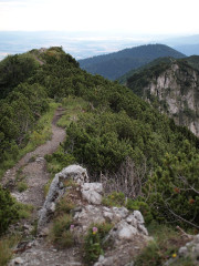 P7141080