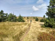 IMG_20190824_103643545_HDR
