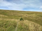 IMG_20190825_095102122_HDR