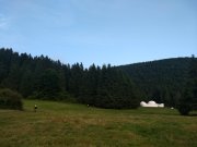 IMG_20190826_184409553
