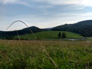 IMG_20190827_174840640_HDR