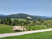 IMG_20190828_091128063_HDR