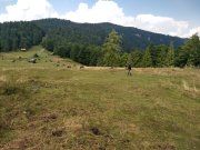 IMG_20190828_132352321_HDR