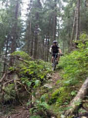 IMG_20190828_141513481