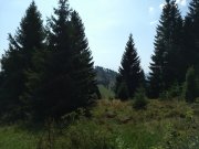 IMG_20190829_112439693