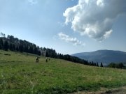 IMG_20190829_112835124_HDR
