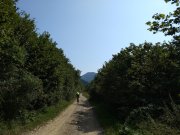 IMG_20190829_120412507