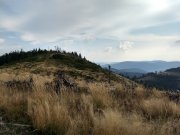 IMG_20190829_163352730_HDR