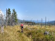 IMG_20190830_114459870_HDR
