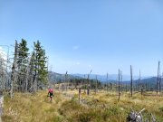 IMG_20190830_114505191_HDR