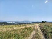 IMG_20190831_162140716_HDR