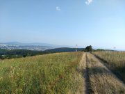 IMG_20190831_162213104