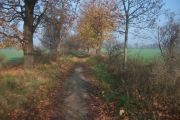 2011_November 695
