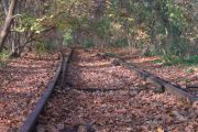 2011_November 696