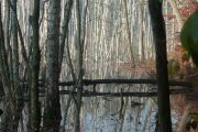 2011_November 699