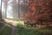 2011_November 704