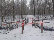 Bild1