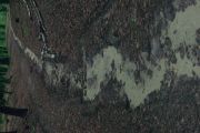 CIMG0517