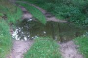 CIMG0520