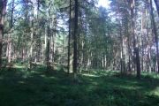 CIMG0548