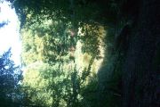 CIMG0549