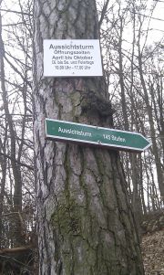 IMAG0603