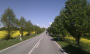 IMAG0726