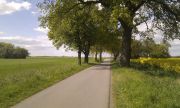 IMAG0734