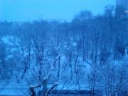 IMG_20130219
