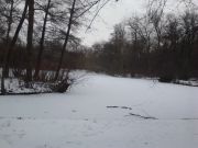 IMG_20130223_111352