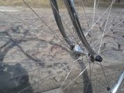 IMG_20130306_104848