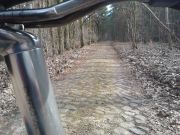 IMG_20130306_105511-1