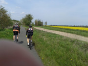Oderbruch