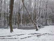 bild3
