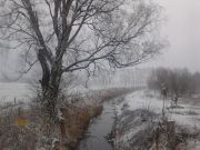 bild4