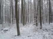 bild6
