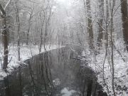 bild8