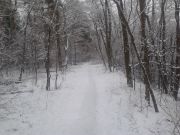 bild9