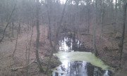 briesetal
