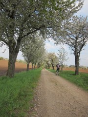 von domzudom11