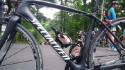 schultheiss