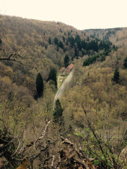 image_007