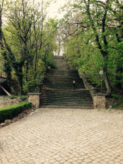 image_016