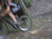 IMG_0290