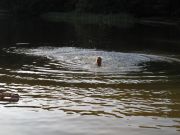 IMG_0445